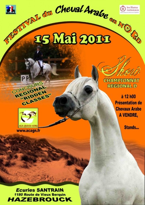 Festival équestre du cheval Arabe à Hazebrouck mai 2011