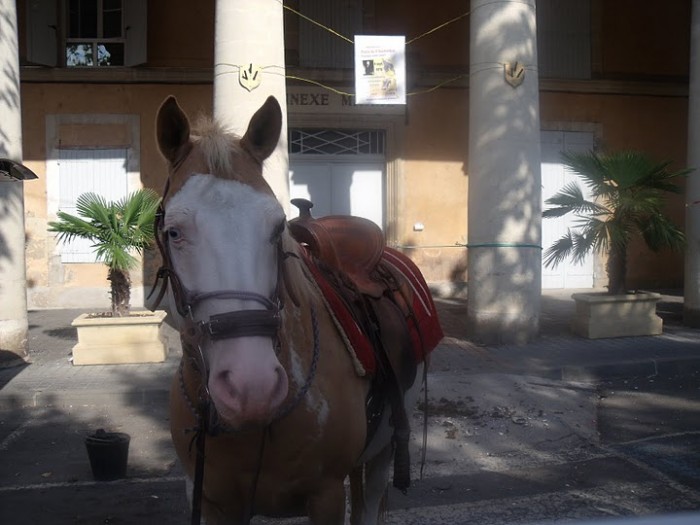 Fête du cheval 11 septembre 2011