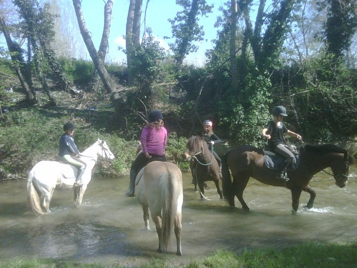 Stage d&rsquo;équitation dans le Luberon