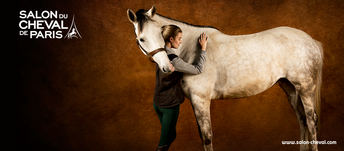 Salon du Cheval 2014 Paris