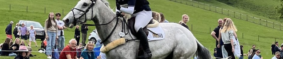 Concours complet : cheval et cavalier franchissant un obstacle de cross-country
