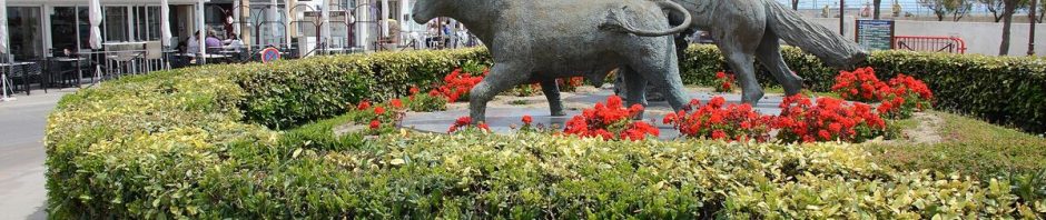 Le salon Cheval Passion revient à Avignon du 22 au 24 janvier 2027