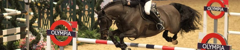 John Whitaker et Argento en saut lors du championnat du monde