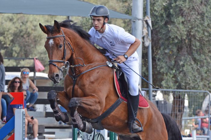 Grand National de saut d&rsquo;obstacles : Emeric George remporte le Grand Prix Pro Elite à Saint-Lô