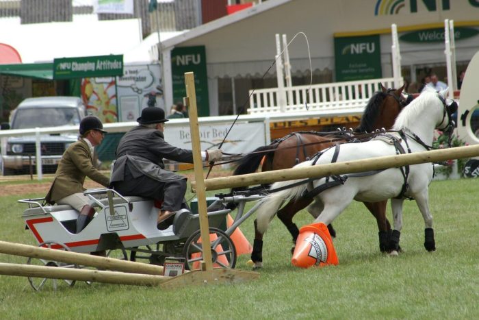 Grande Semaine d&rsquo;attelage 2026 : le franche-montagne et le poney français de selle à l&rsquo;honneur à Lignières