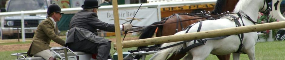 Attelage en compétition à la Grande Semaine, chevaux franche-montagne et poney français.