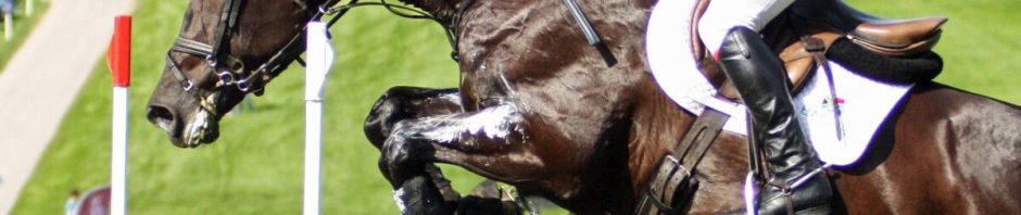 Concours complet international, cheval et cavalier en action