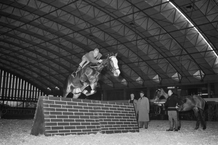 Longines Equita Lyon 2026, du 28 octobre au 1er novembre à Eurexpo