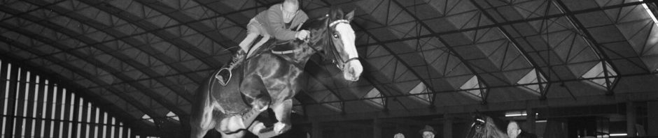 Préparatifs d'un concours hippique en salle