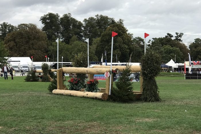 Mondial du Lion 2026 : le dressage des jeunes chevaux de concours complet est lancé