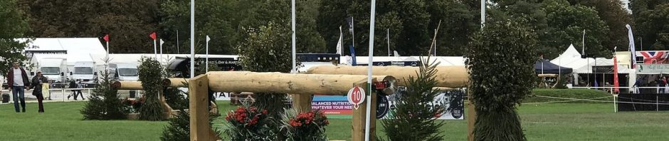 Le dressage des jeunes chevaux ouvre le Mondial du Lion 2026