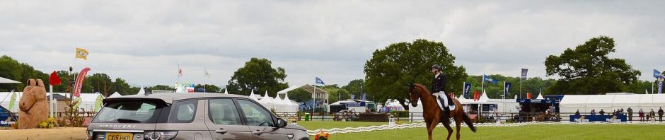 Robin Godel et Kosmic d'Elbe en dressage au Mondial du Lion
