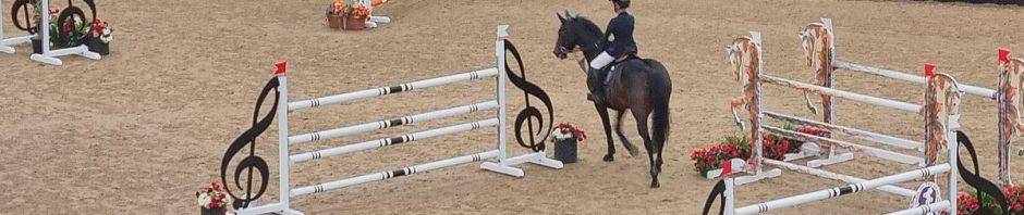 Spectacle équestre aux Haras, ambiance d'automne et chevaux en scène